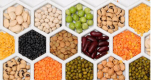 स्वस्थ मानव और मृदा के लिए दालों के महत्व को समझने की जरूरत : डॉ. अमरीक सिंह