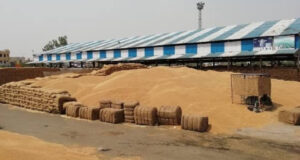 जिले की मंडियों में इस सीजन 3,75,687 मीट्रिक टन अधिक गेहूं के खरीद की उम्मीद: अपनीत रियात