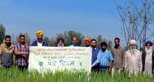 कृषि विज्ञान केंद्र की ओर से गांव बुद्धोबरकत में किया गया खेत दिवस का आयोजन