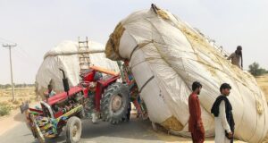 ਤੂੜੀ ਨਾਲ ਭਰੀ ਉਵਰਲੋਡ ਟਰਾਲੀ ਪੇਪਰ ਮਿੱਲ ਨੂੰ ਜਾਂਦੀ ਬਡੇਸਰੋਂ ਪਲਟੀ