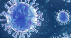 ਅੱਜ ਜ਼ਿਲ੍ਹੇ ਵਿੱਚ ਕੋਵਿਡ-19 ਦਾ 01 ਨਵਾਂ ਪਾਜੇਟਿਵ ਮਰੀਜ