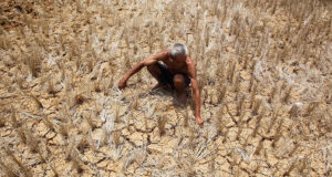 बिना किसी शर्त पंजाब सरकार किसानों की खराब हुई फसल का दें उचित मुआवजा: जोगिंदर पाल