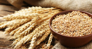 दाना मंडी में ठेकेदार की गुंडागर्दी बंद करवाने हेतु सचदेवा ने वित्त मंत्री चीमा से की भेंट