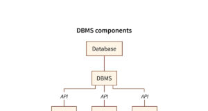 Database Management Basics