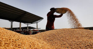 जिले की मंडियों में अब तक हुई 288566 मीट्रिक टन गेहूं की खरीद : जिलाधीश कोमल मित्तल