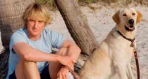 Really does canine Die? Offers Crowdsourced film Spoilers that will People Avoid Triggers for Sexual Assault, Domestic Violence & Other Upsetting Topics