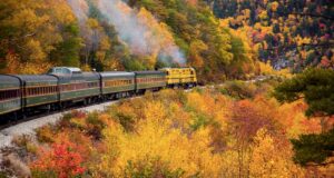 Extraordinary Dating Destinations from the Adirondack Scenic Railroad