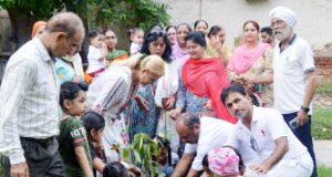 लाडली वृक्षारोपण में लाडलियाँ भारी संख्या में जोश के साथ लगा रही पौधे : हरीश चन्द्र आज़ाद