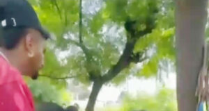 फिल्लौर में अमानवीयता