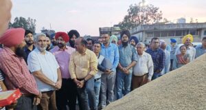 प्रदेश की मंडियों में अब तक करीब 18 लाख 72 हजार मीट्रिक टन धान की हुई आमद