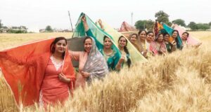 त्यौहार को उसके मूल रूप एवं संस्कृति के अनुसार ही मनाए : नीति तलवाड़