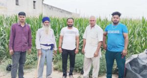 25 गांवों के करीब 800 किसानो को मक्के की खेती से जोड़ा