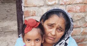 बेलगाम आवारा कुत्तों के आतंक से लोग परेशान