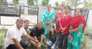 जेसी डीएवी कालेज में मनाया गया पर्यावरण दिवस