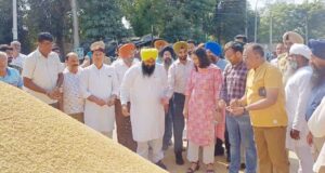 ਵਿਧਾਇਕਾਂ ਅਤੇ ਅਧਿਕਾਰੀਆਂ ਨੇ ਜ਼ਿਲ੍ਹੇ ਦੀਆਂ ਮੰਡੀਆਂ ਵਿੱਚ ਝੋਨੇ ਦੀ ਖਰੀਦ ਦਾ ਲਿਆ ਜਾਇਜ਼ਾ