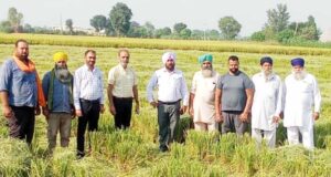 कृषि विभाग ने फगवाड़ा के विभिन्न गांवों का दौरा कर किसानों को पराली न जलाने बारे किया जागरूक