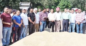 ਫਗਵਾੜਾ ਦੀ ਨਵੀਂ ਅਨਾਜ ਮੰਡੀ ‘ਚ ਝੋਨੇ ਦੀ ਖਰੀਦ ਦਾ ਕੰਮ ਹੋਇਆ ਸ਼ੁਰੂ